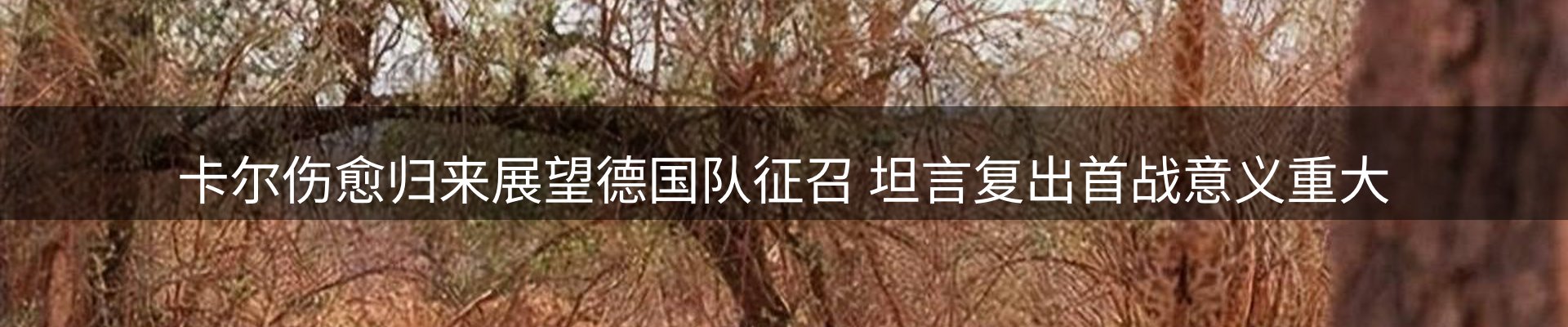焦点选编